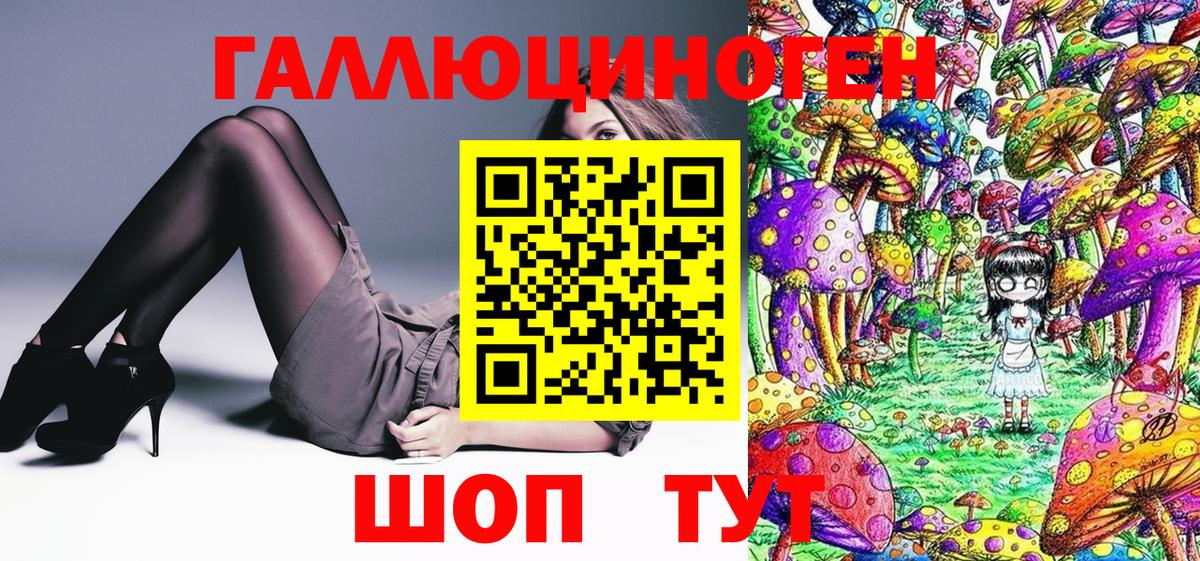 Псилоцибиновые грибы Cubensis Магадан